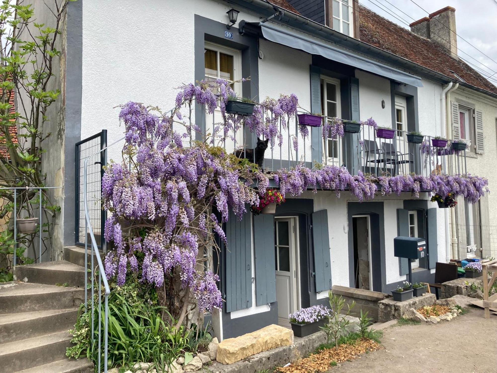 Le Lodge De Serenite Cuffy Eksteriør bilde