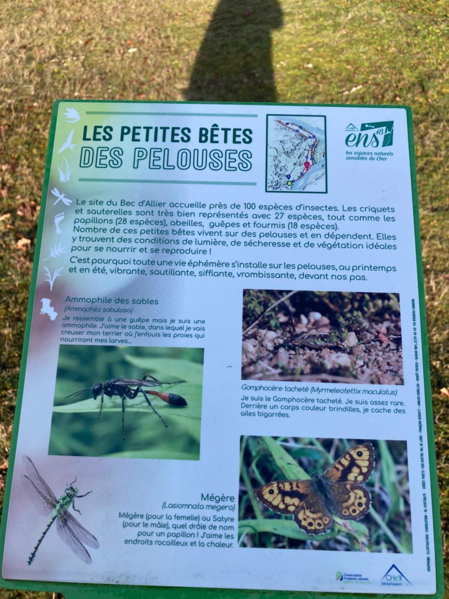 Le Lodge De Serenite Cuffy Eksteriør bilde